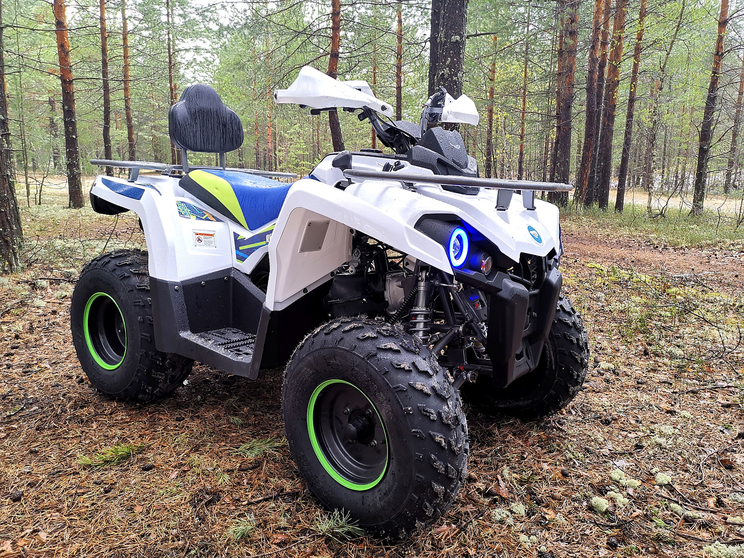 Квадроцикл PROMAX RENEGADE 280 (2025) в Кисловодске
