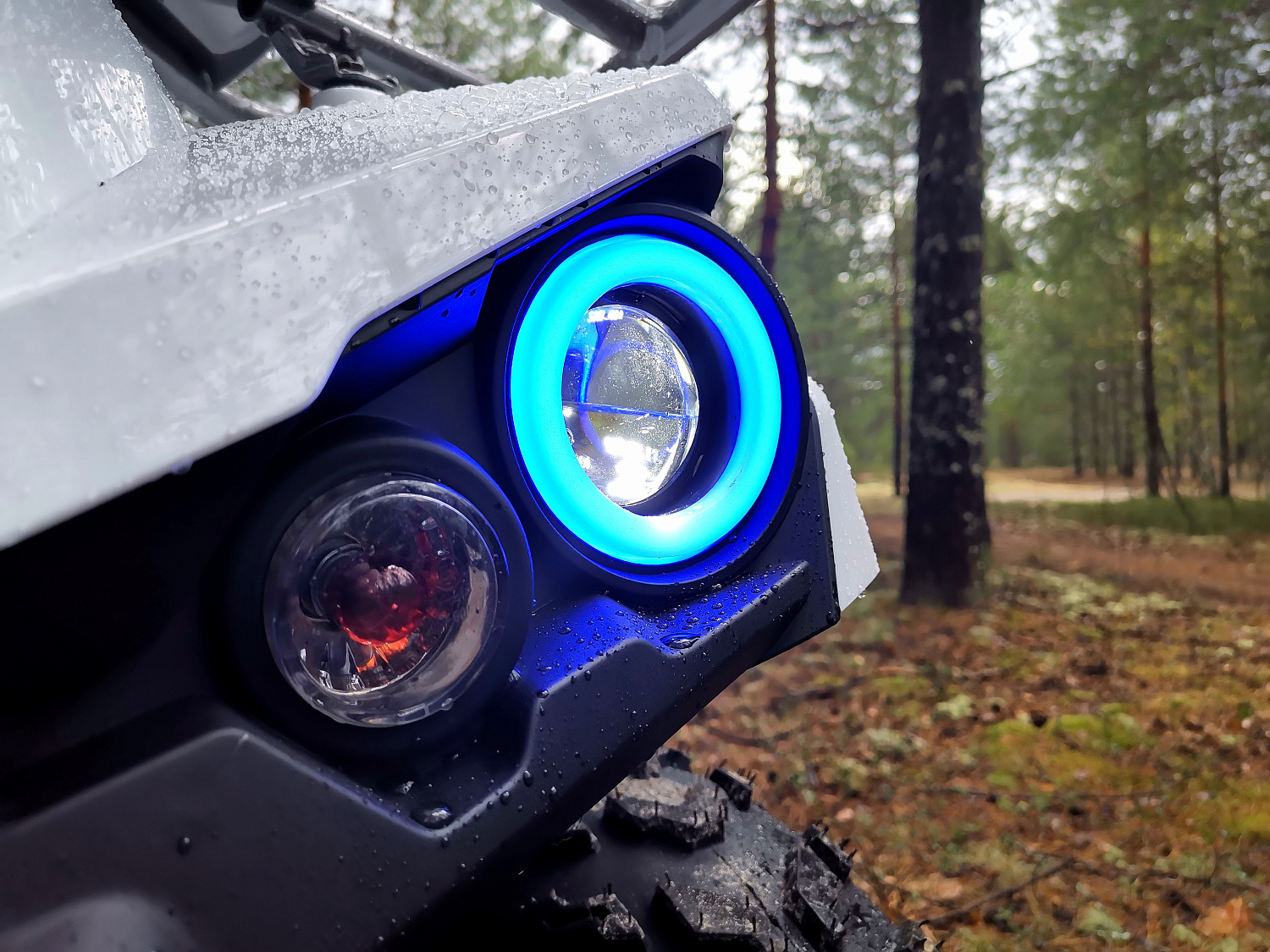 Квадроцикл PROMAX RENEGADE 280 (2025) в Кисловодске