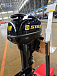 Лодочный мотор STELS 9.9HP в Кисловодске