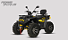 Квадроцикл PROMAX TAURUS 300 MAX-PRO LONG в Кисловодске